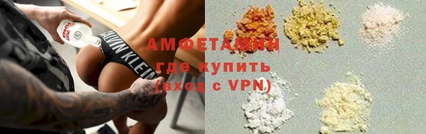 индика Белоозёрский